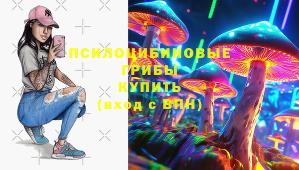 бутират Осинники