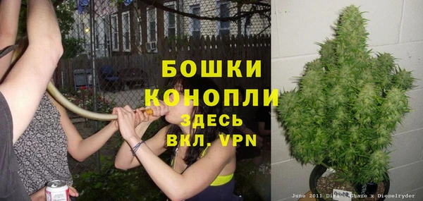 ПСИЛОЦИБИНОВЫЕ ГРИБЫ Остров