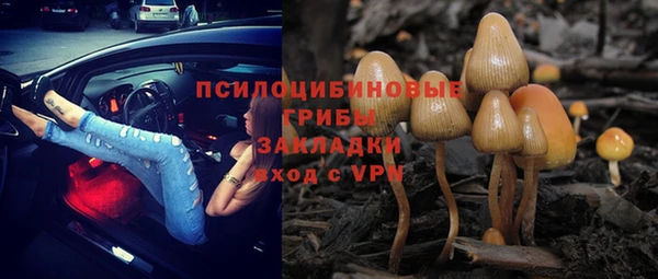 хмурый Нязепетровск