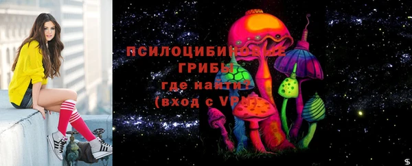 мет Осташков