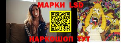 крисы Гатчина
