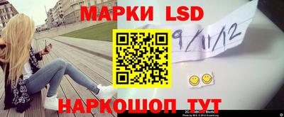 крисы Гатчина