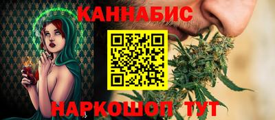 крисы Гатчина