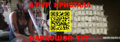 крисы Гатчина