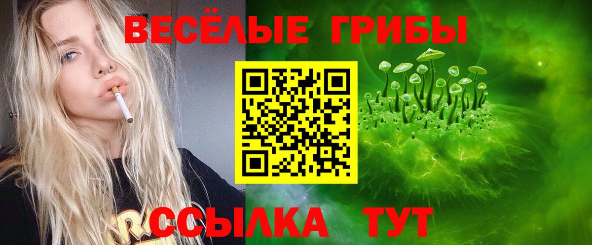 Псилоцибиновые грибы ЛСД  Вход с VPN  Черногорск 