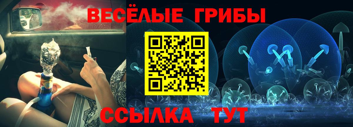 Псилоцибиновые грибы ЛСД Черногорск