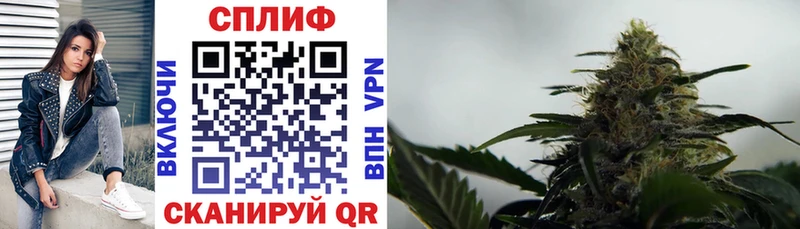 Конопля семена  Черногорск 